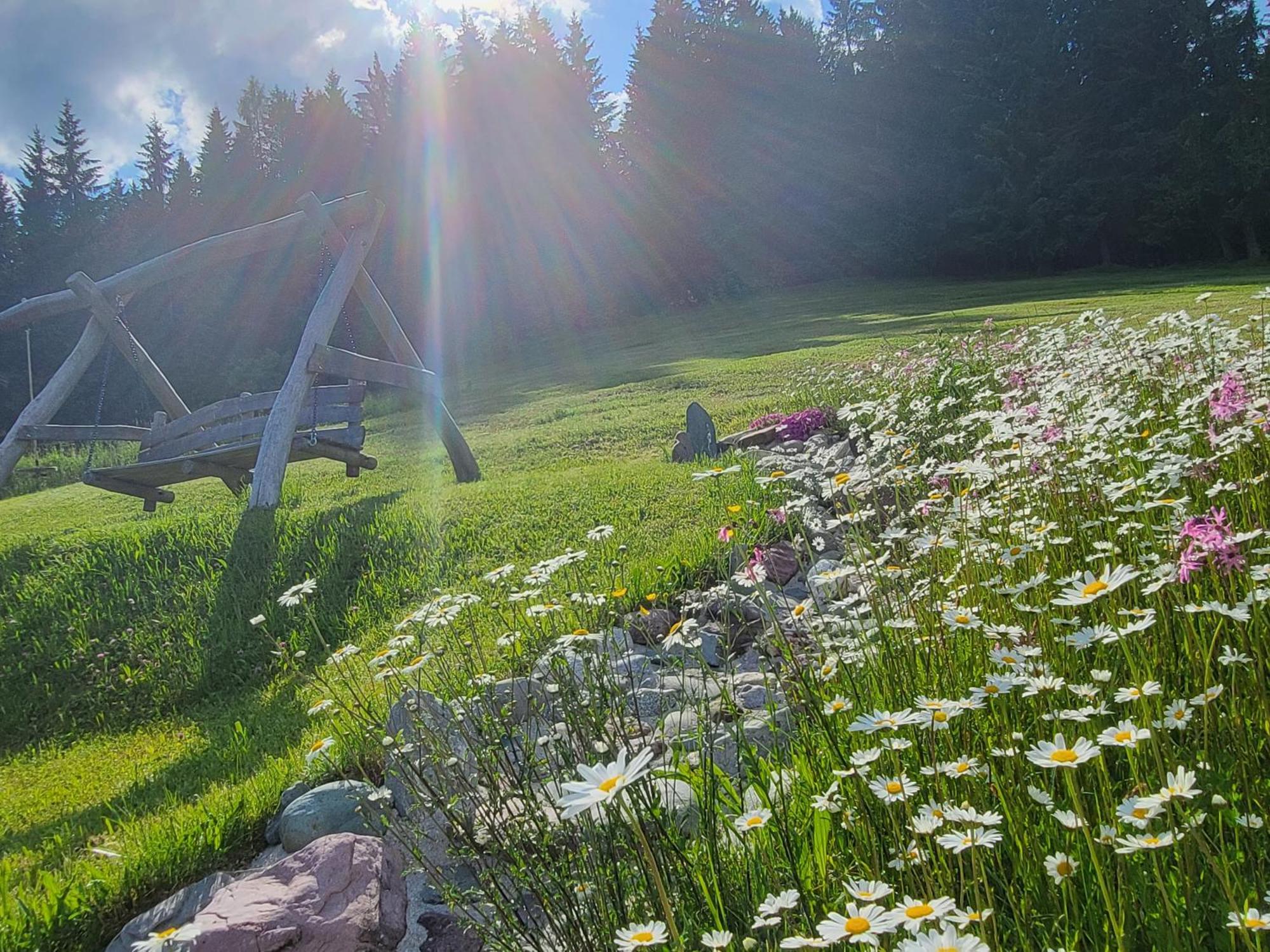 Ferienhof Obertenn Hochfilzen Dış mekan fotoğraf