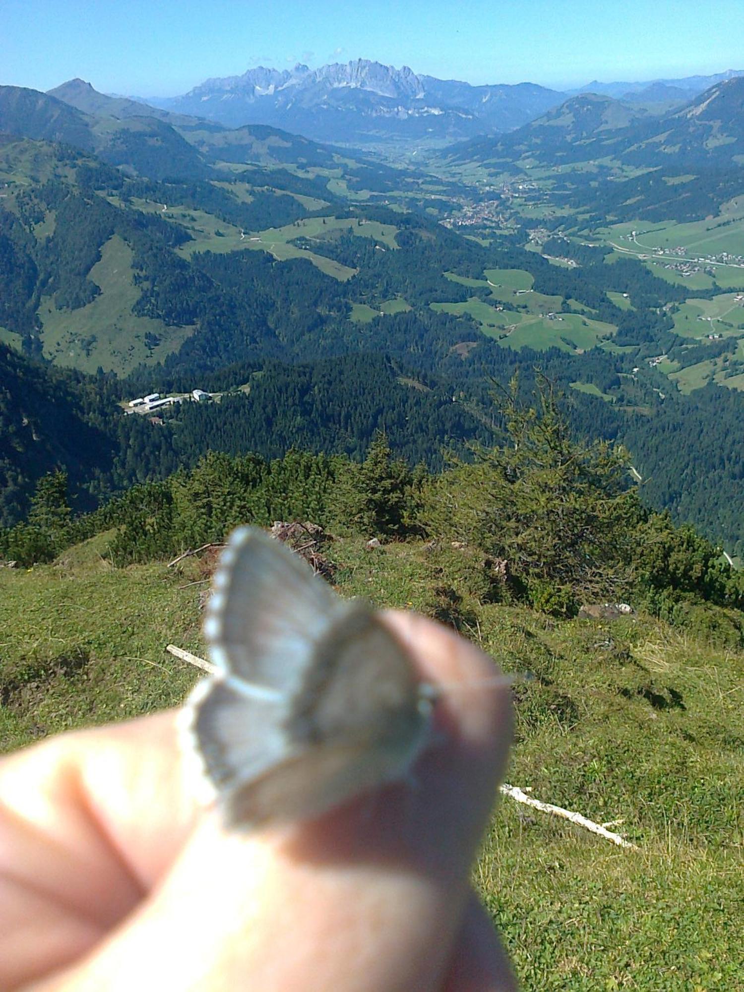 Ferienhof Obertenn Hochfilzen Dış mekan fotoğraf