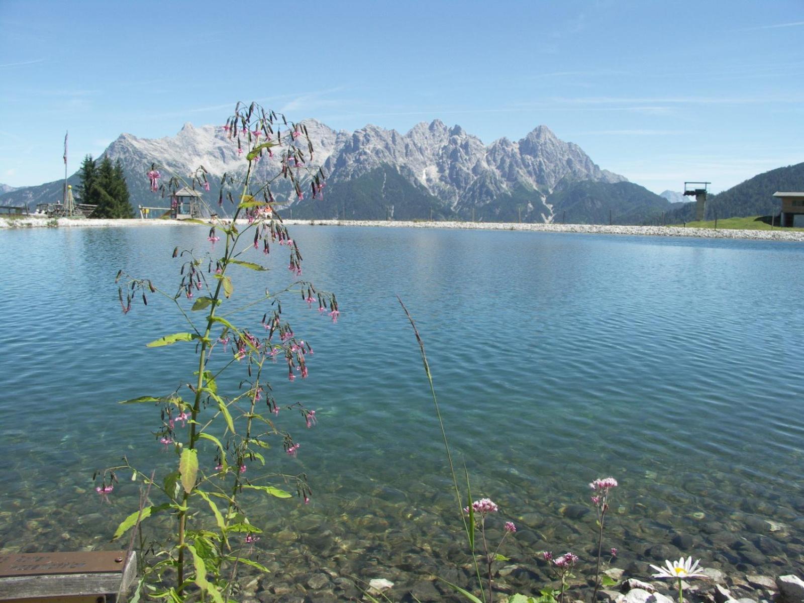 Ferienhof Obertenn Hochfilzen Dış mekan fotoğraf