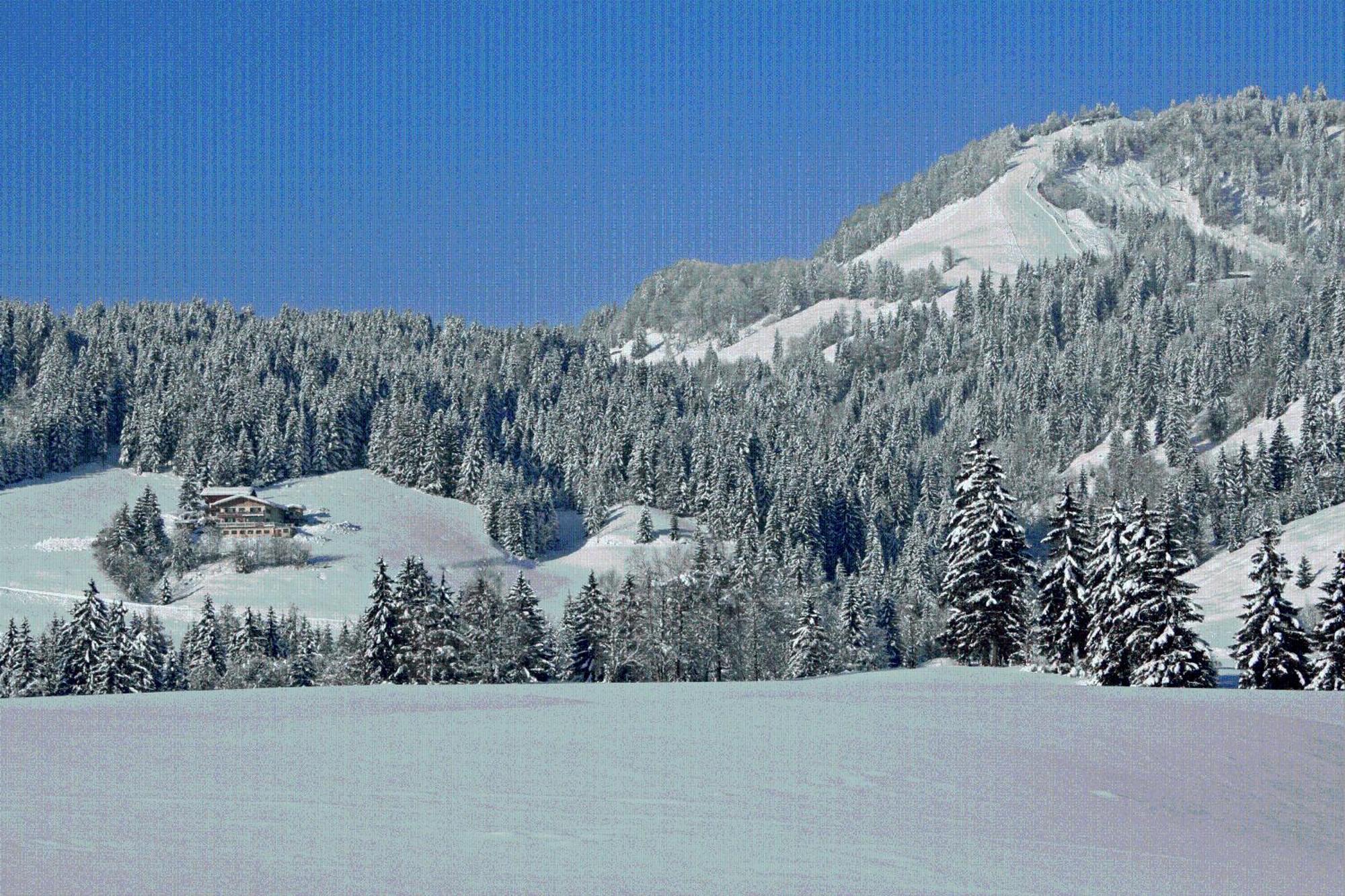 Ferienhof Obertenn Hochfilzen Dış mekan fotoğraf